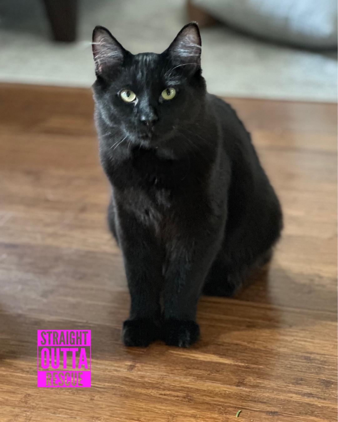 Turbo - *New Photos, Video and Bio* 4