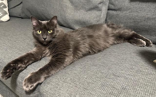 Turbo - *New Photos, Video and Bio*