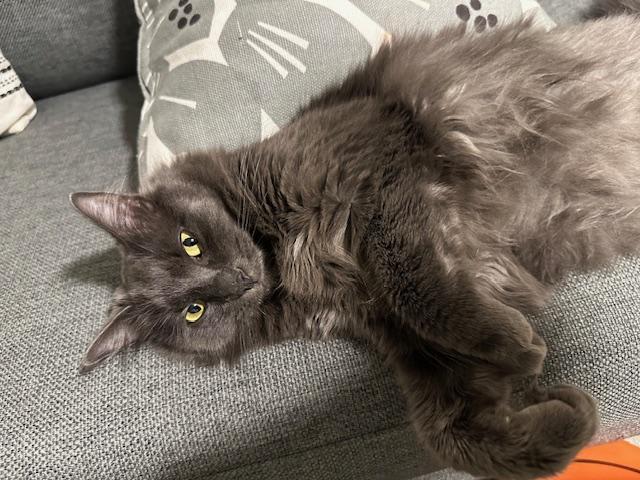 Turbo - *New Photos, Video and Bio* 2