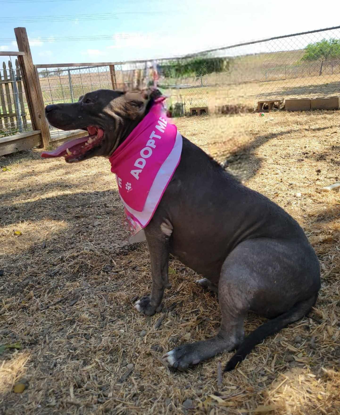 Chloe — thumbnail 2