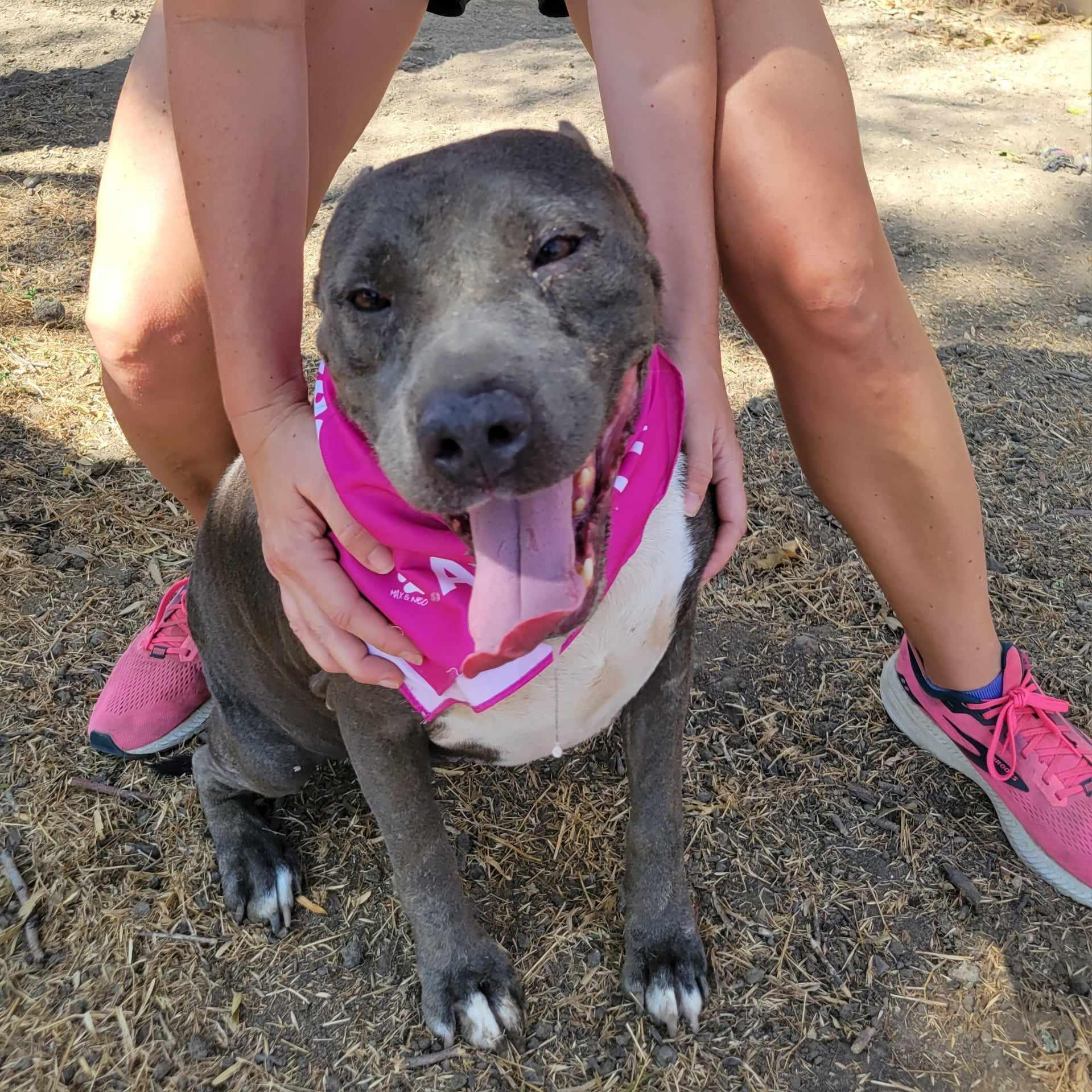 Chloe — thumbnail 4