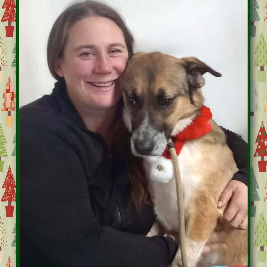 Enlarge Chev, a Adoptable Cattle Dog in TONASKET, WA image 4/4