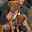 Enlarge Kendall, a Adoptable mixed breed in San Antonio, TX image 4/6