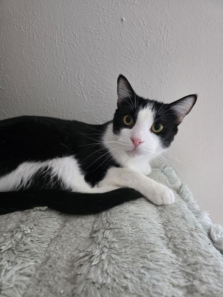 Albert W — thumbnail 2