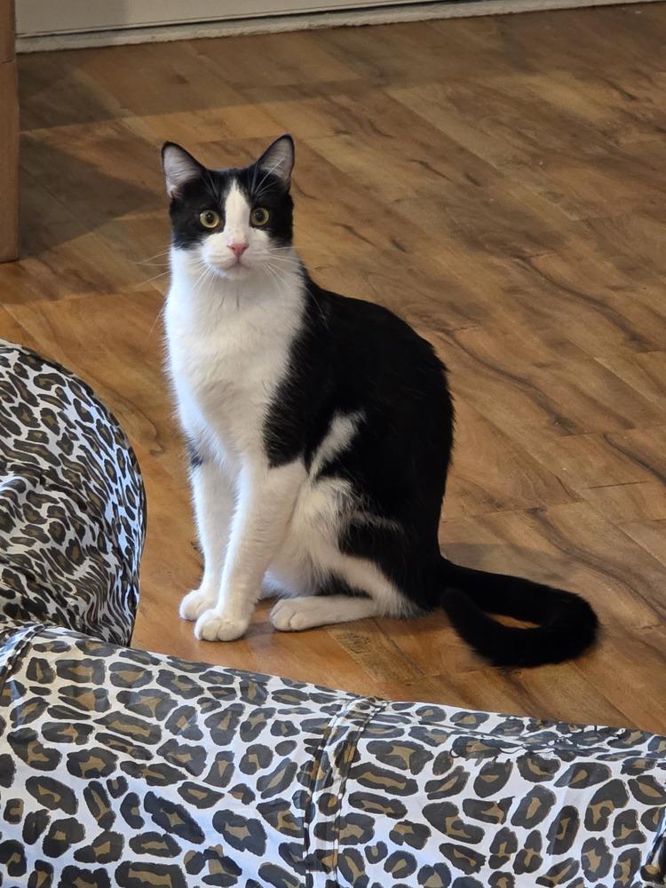 Albert W — thumbnail 3