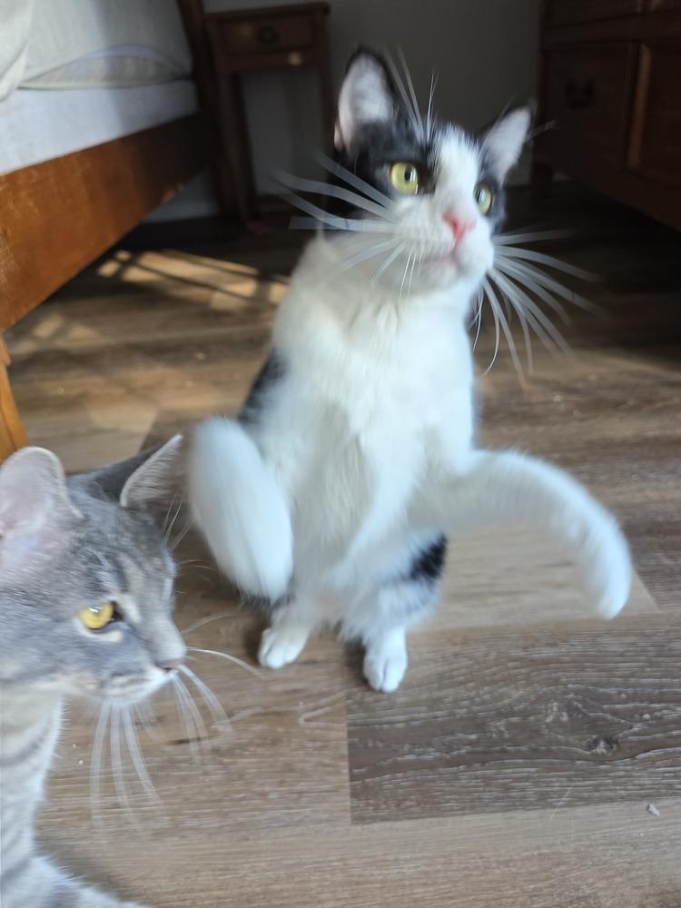 Albert W — thumbnail 5