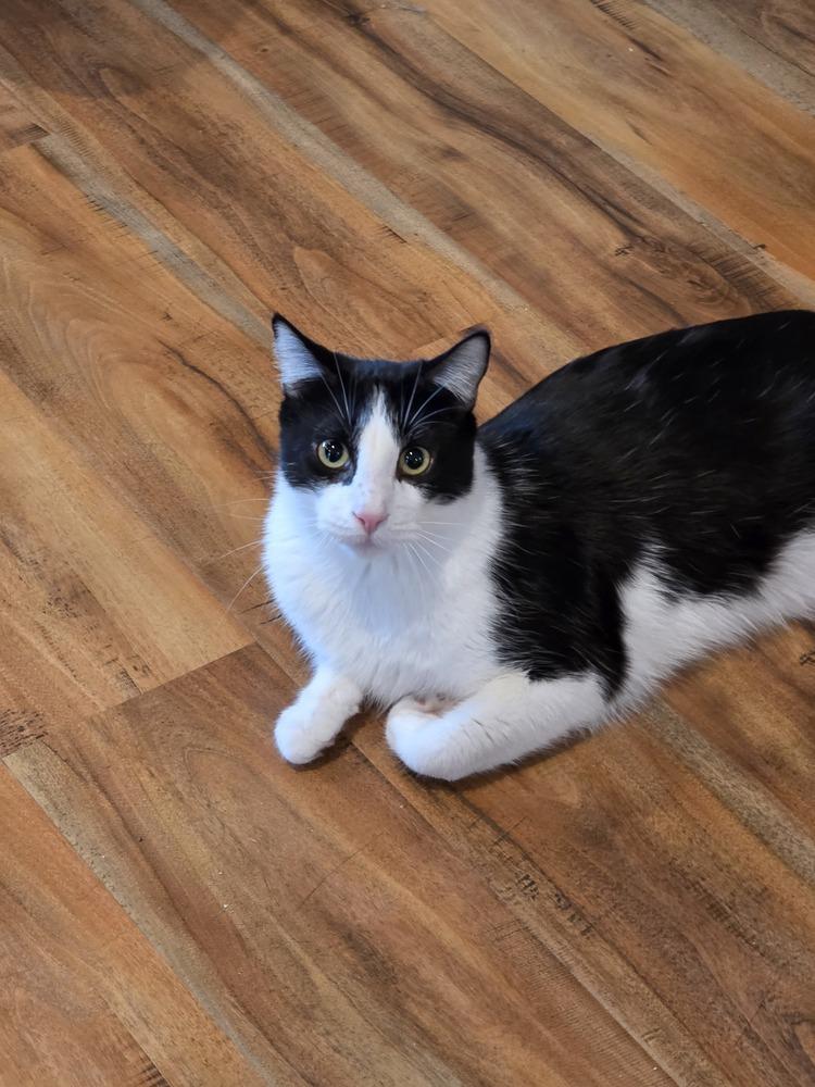 Albert W — thumbnail 6