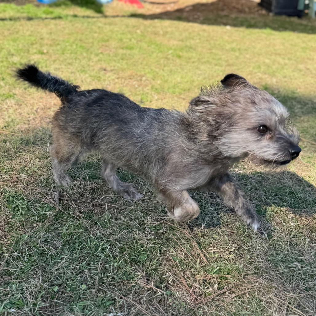 Rocky Creed — thumbnail 2