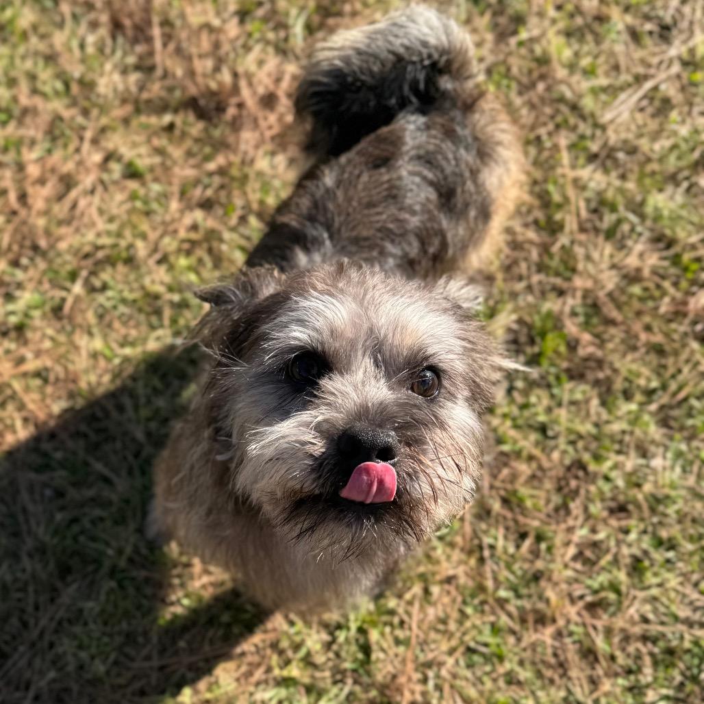 Rocky Creed — thumbnail 3