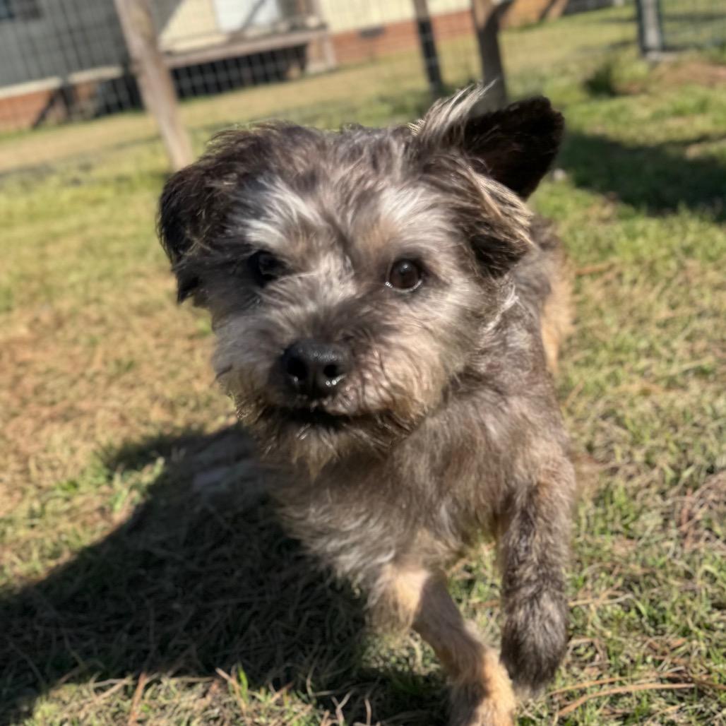 Rocky Creed — thumbnail 4