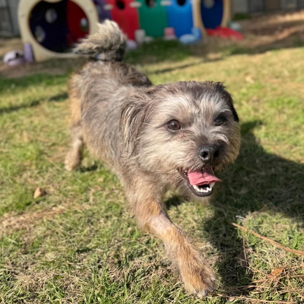 Rocky Creed — thumbnail 5