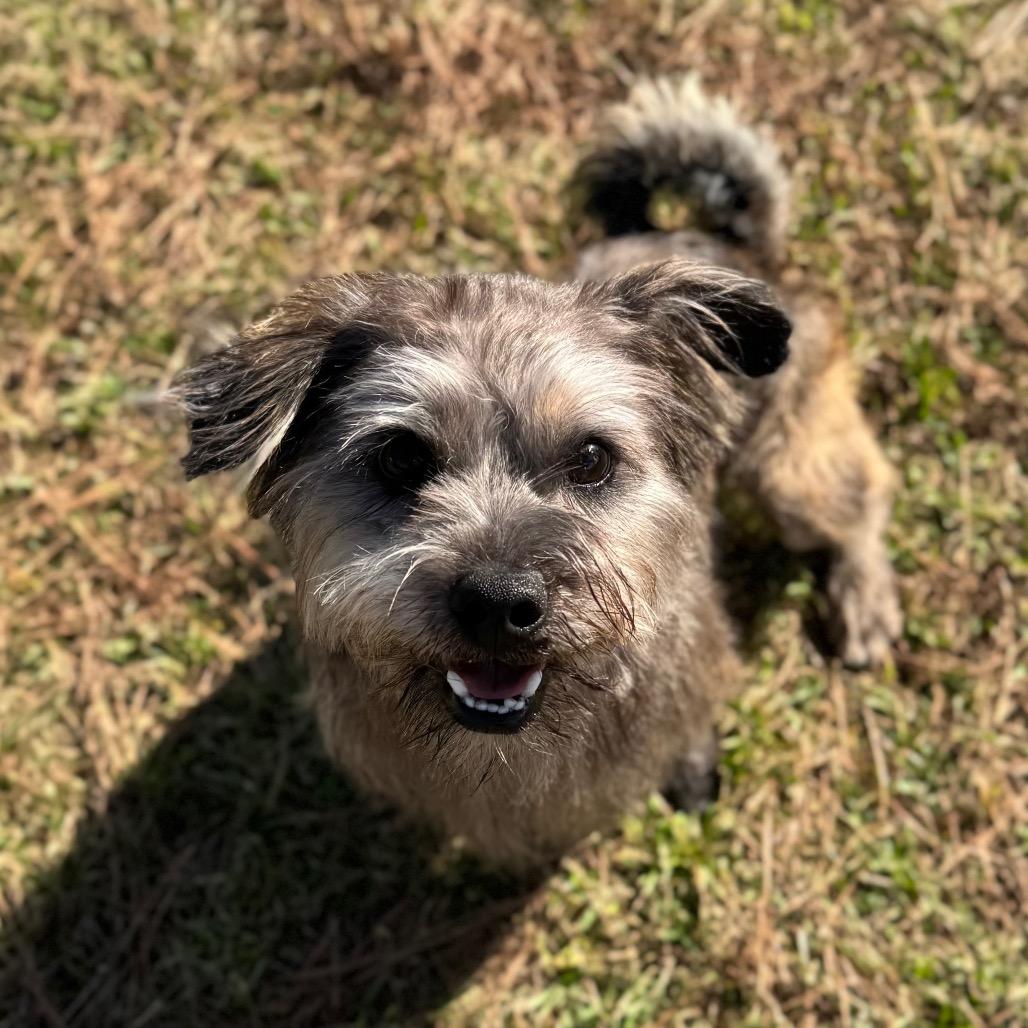 Rocky Creed — thumbnail 6