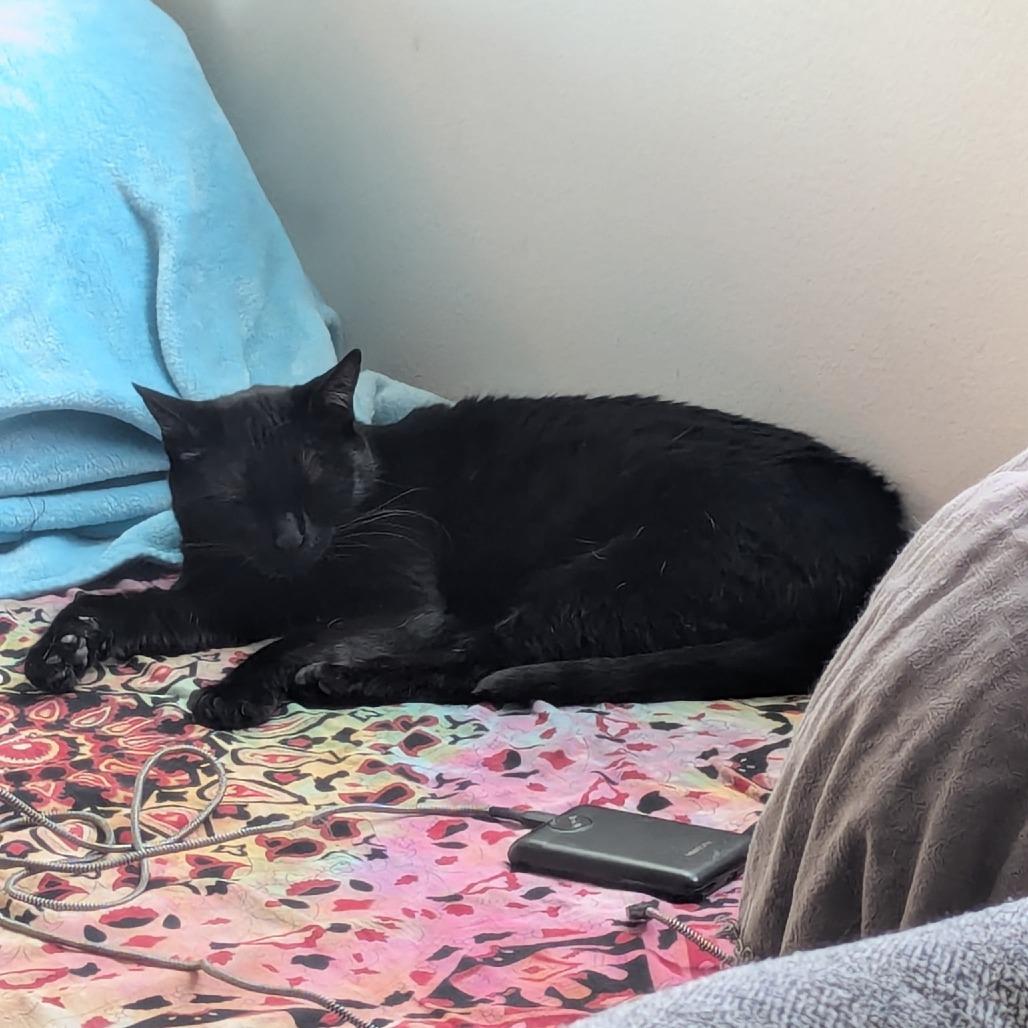 The Midnight Special