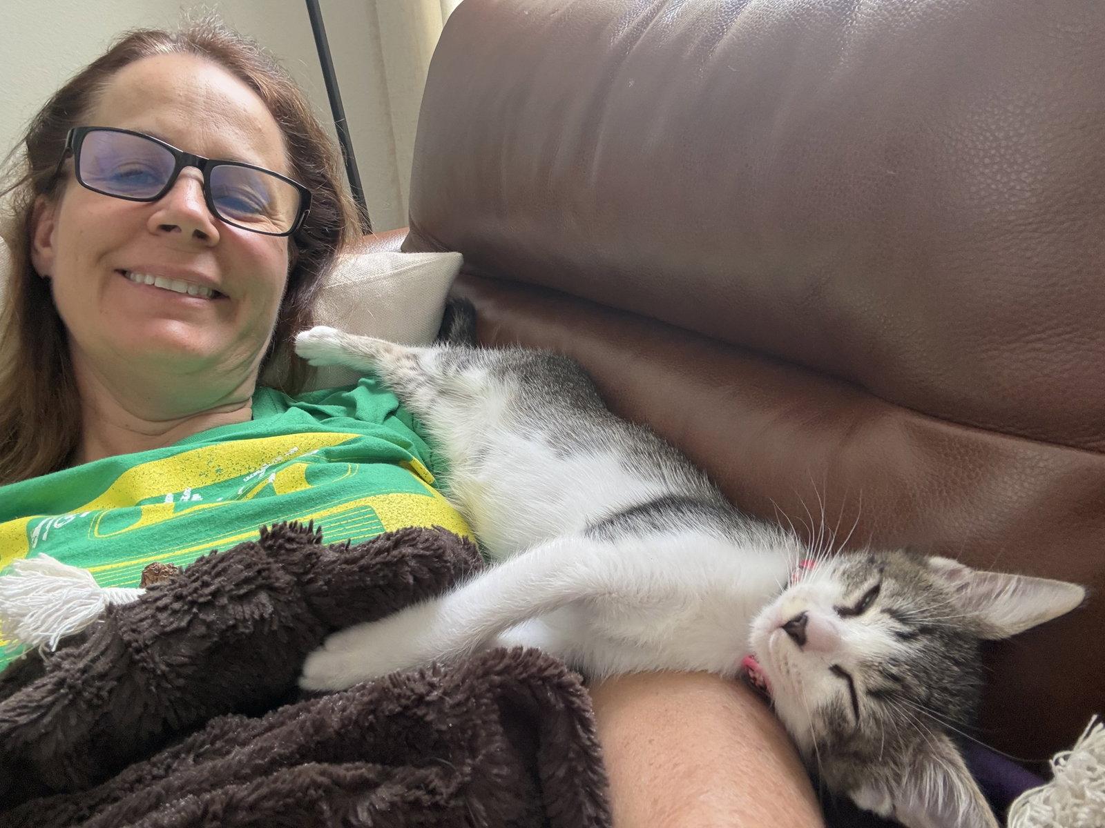 Enlarge Livy Lu, a Adopted Tabby in Orlando, FL image 3/3