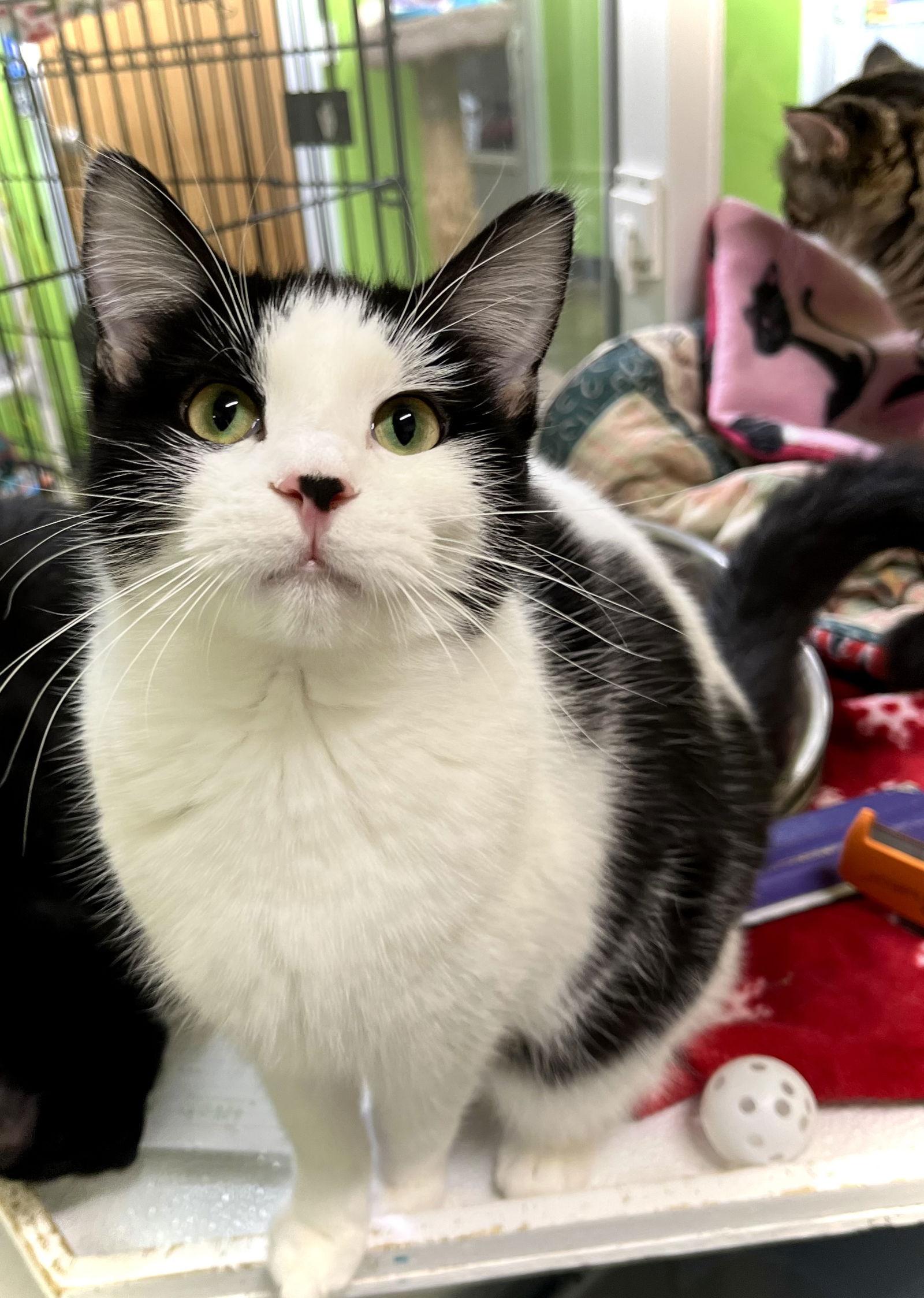 Lana — thumbnail 2