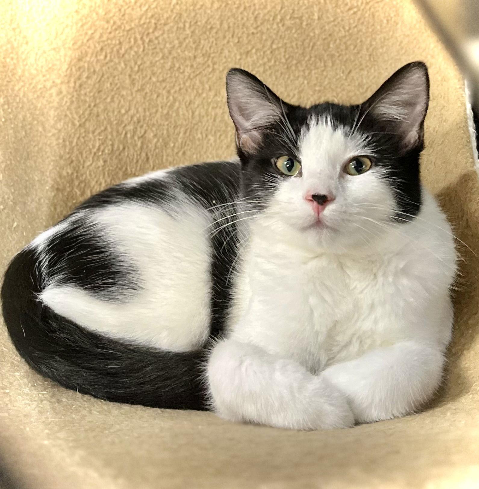 Lana — thumbnail 3