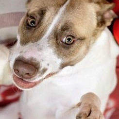 Amara (Mary) — thumbnail 3