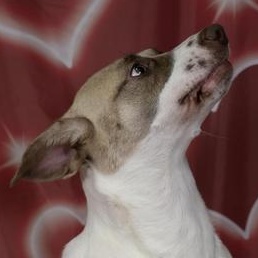 Amara (Mary) — thumbnail 6