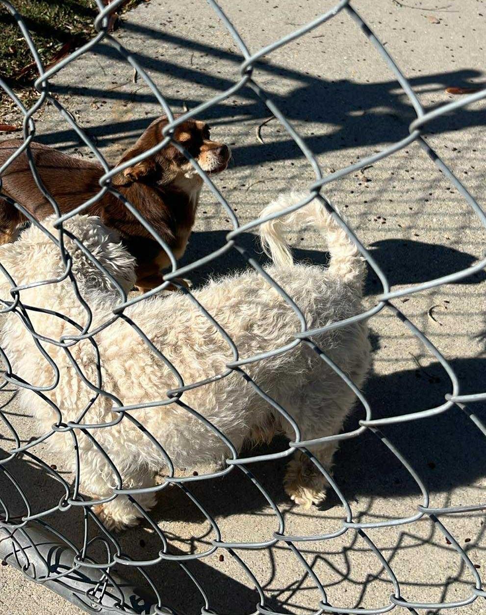 Tuna & Mack thumbnail 5