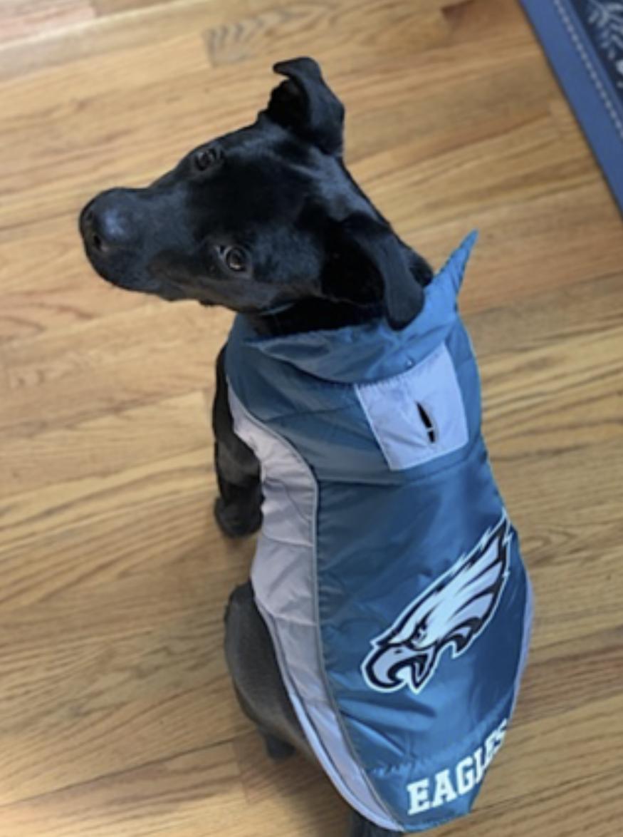 Riley — thumbnail 4