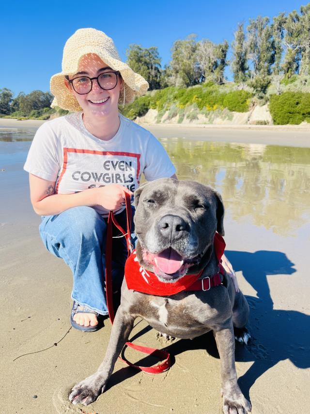 LUNA, Adoptable, Adult Female Pit Bull Terrier.