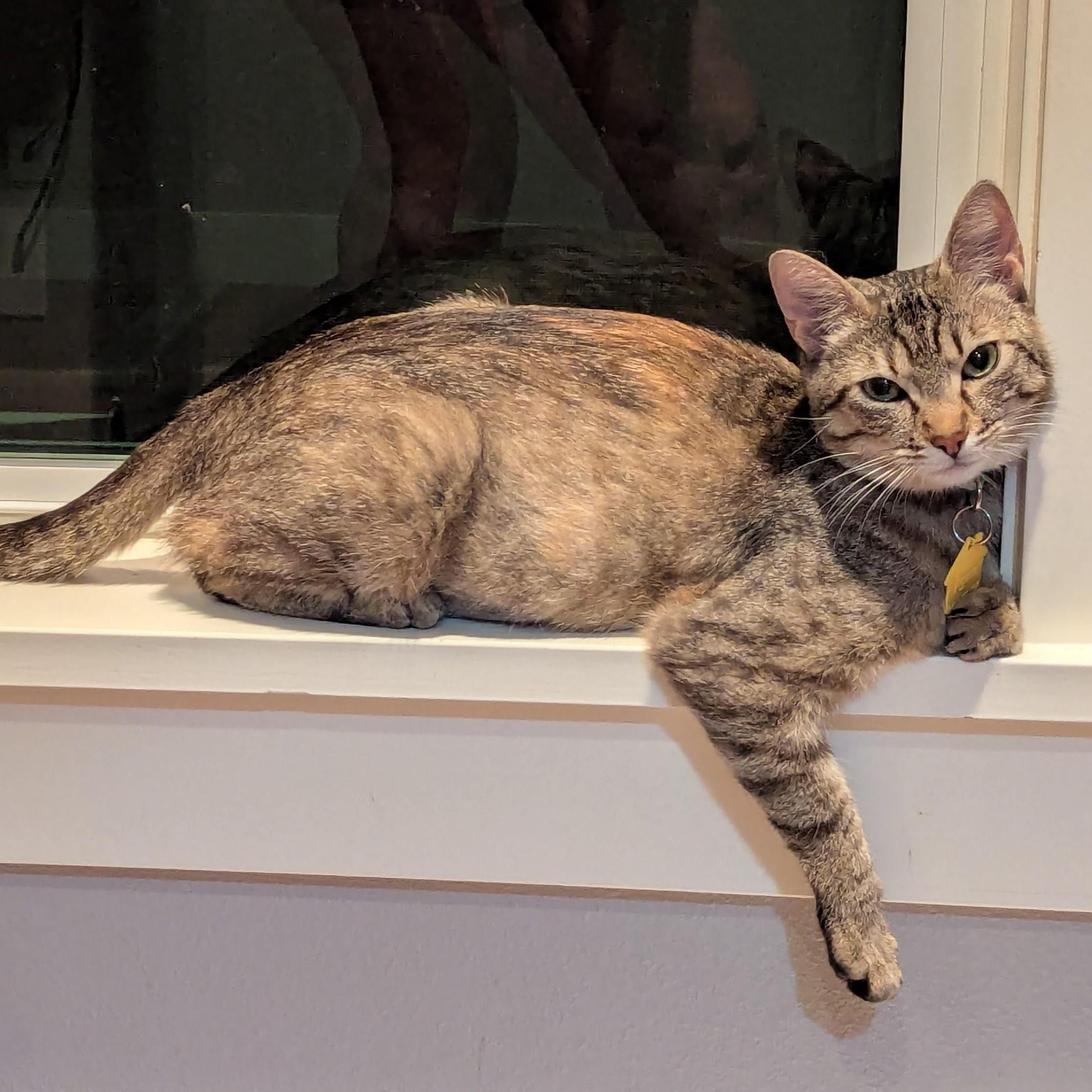 Josie