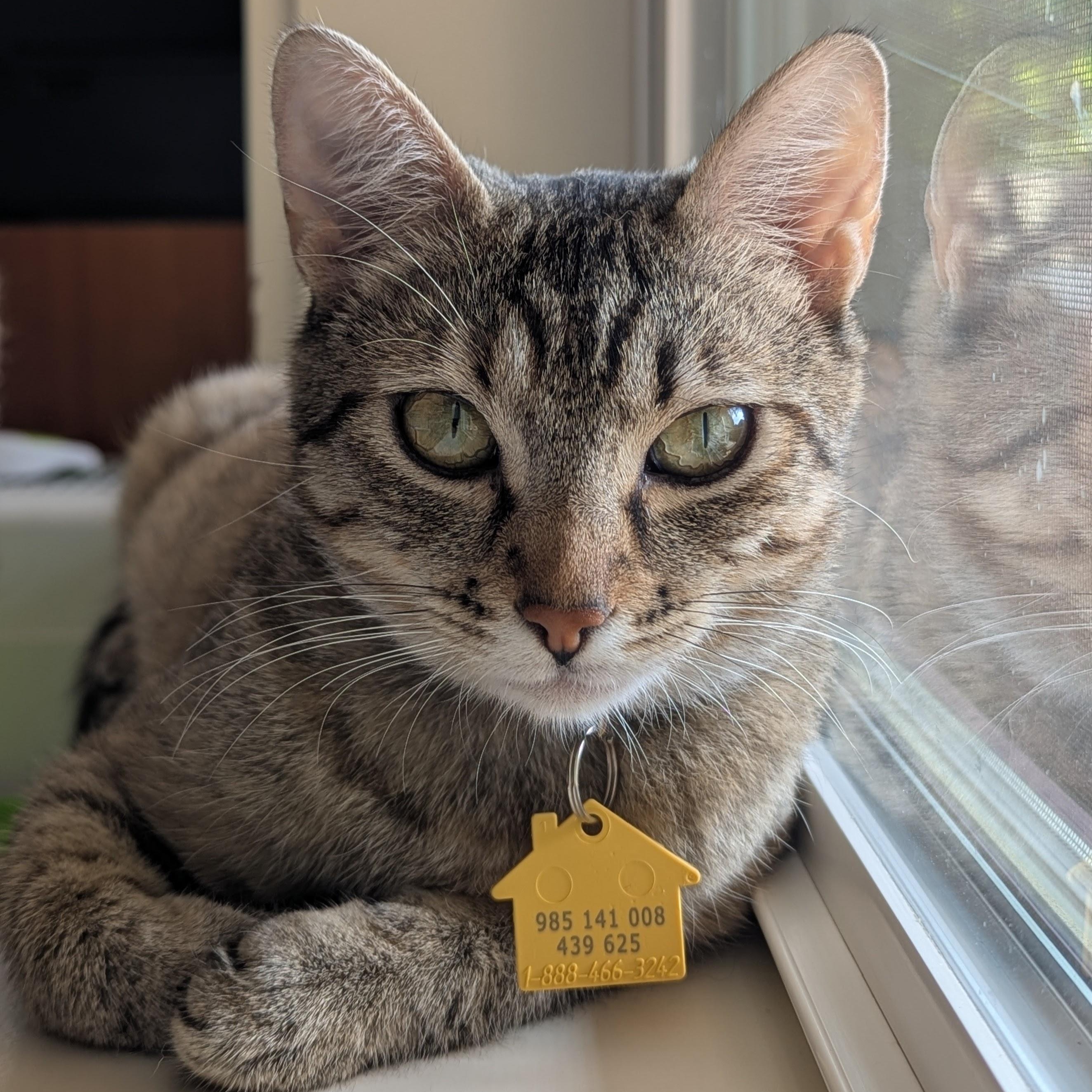 Josie