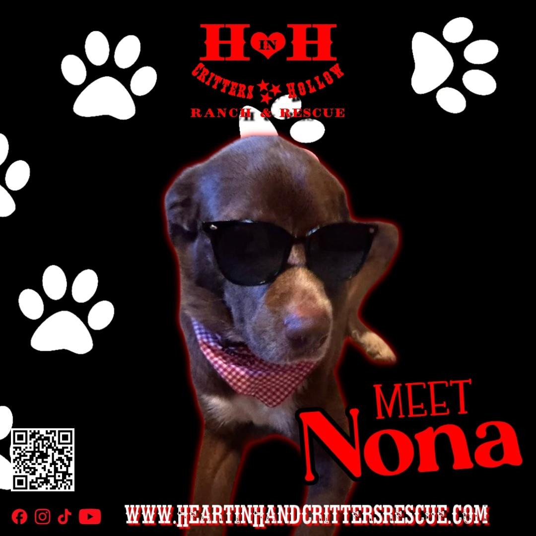 Enlarge Nona, a ADOPTABLE mixed breed in Stewart, TN image 2/6