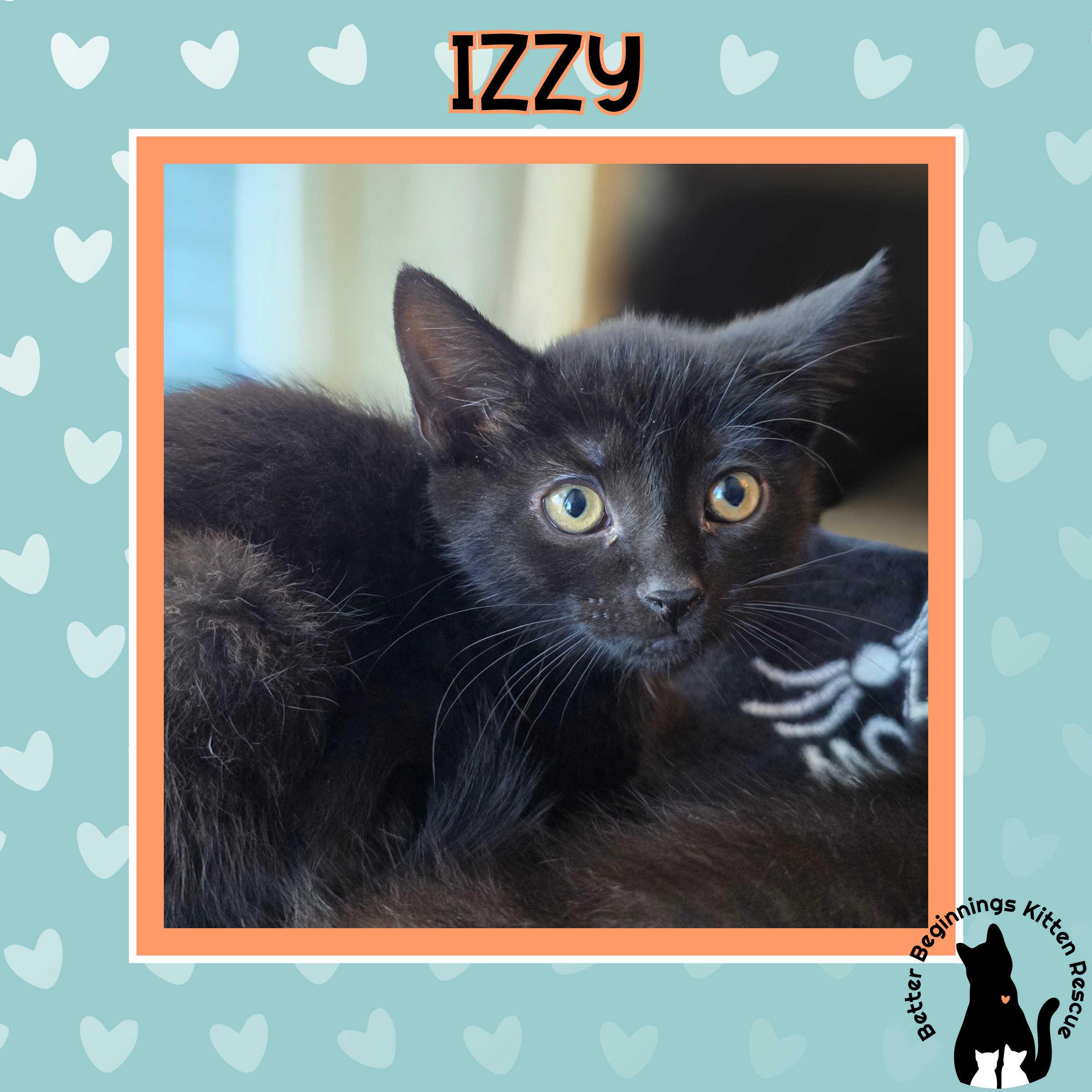 Izzy, a Adoptable mixed breed in Kamloops, BC image 2/4