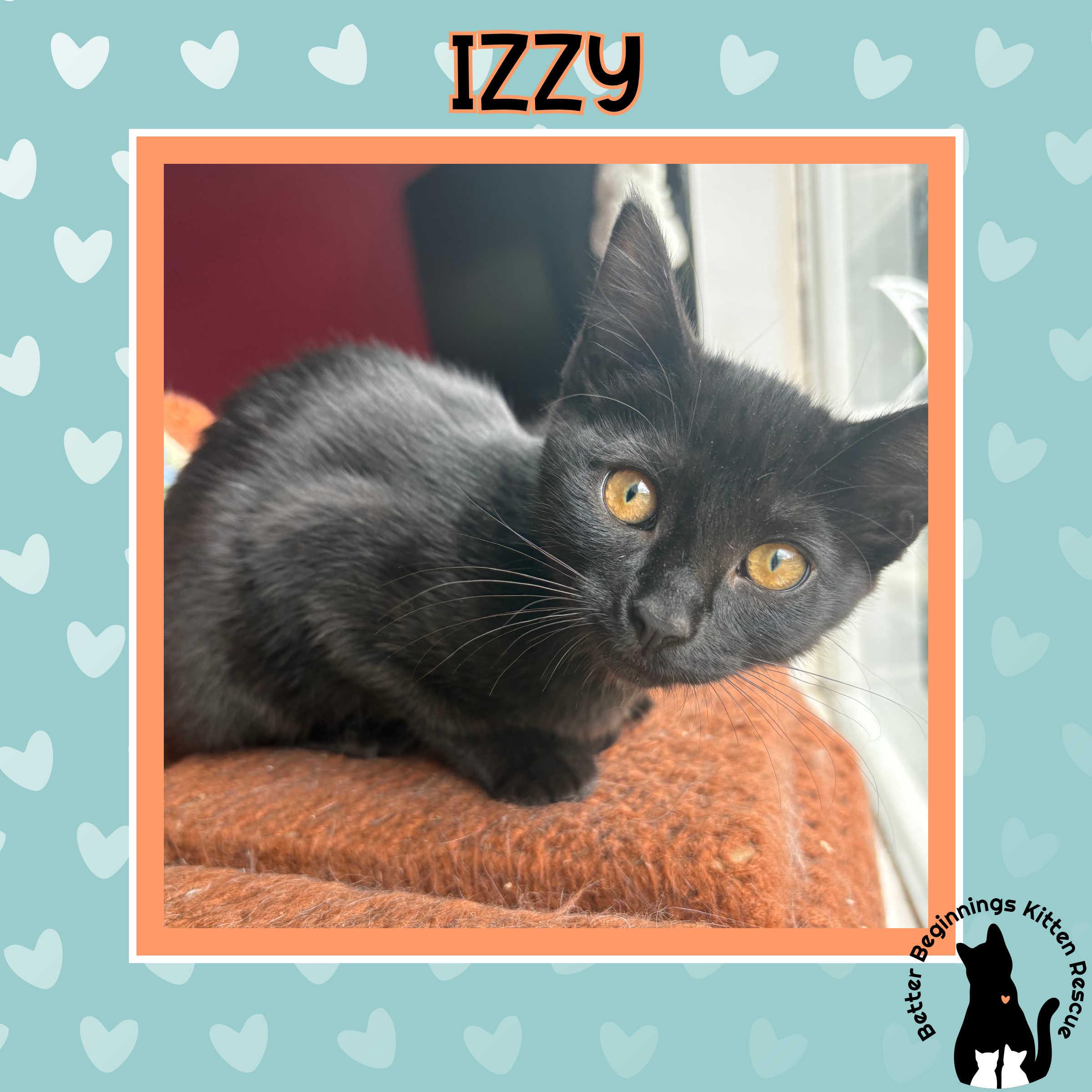 Izzy, a Adoptable mixed breed in Kamloops, BC image 5/6