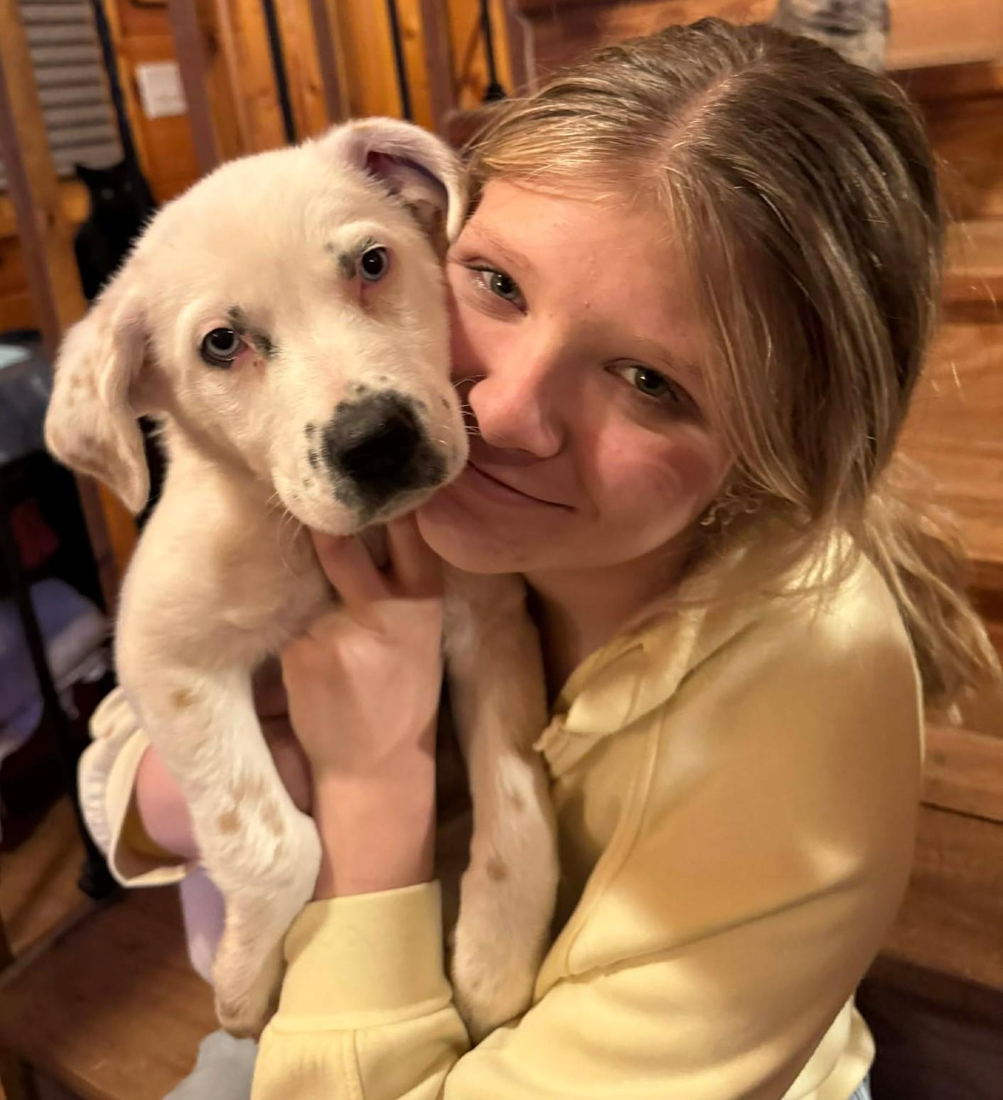 Enlarge Lapis Lazuli , a ADOPTABLE mixed breed in Kiowa, OK image 4/6