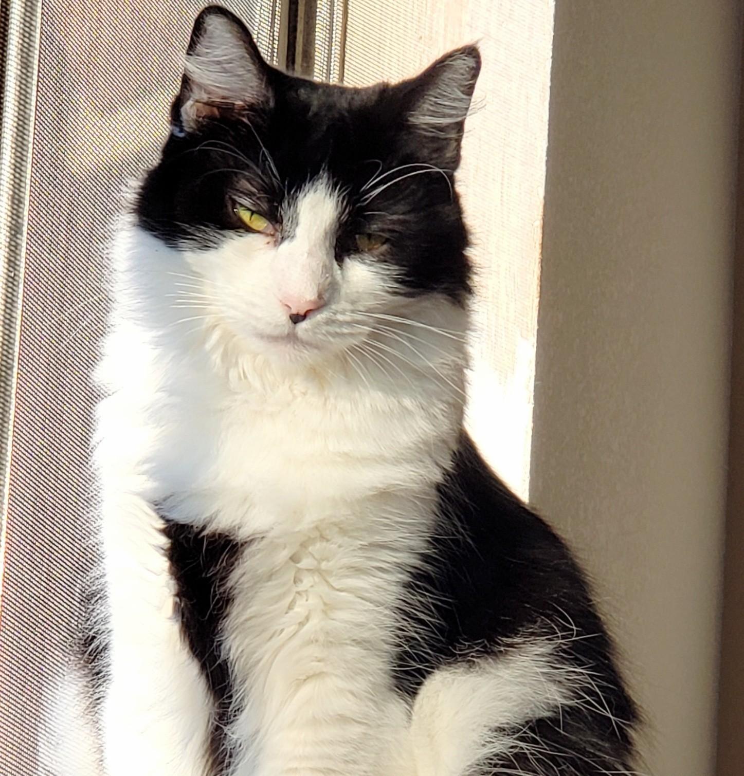 Nimue