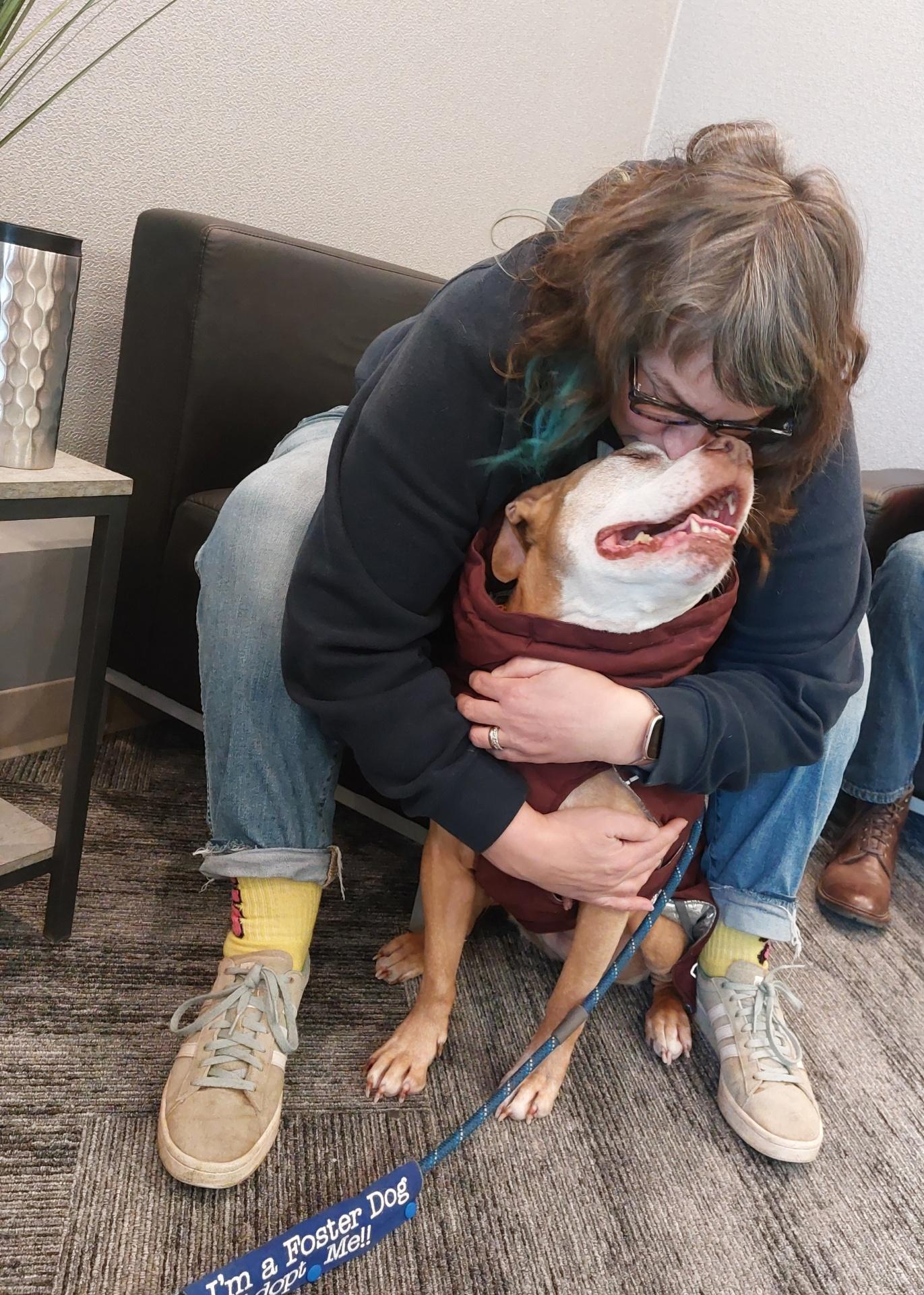 Enlarge Lucy, a ADOPTABLE Pit Bull Terrier in Cranston, RI image 5/5