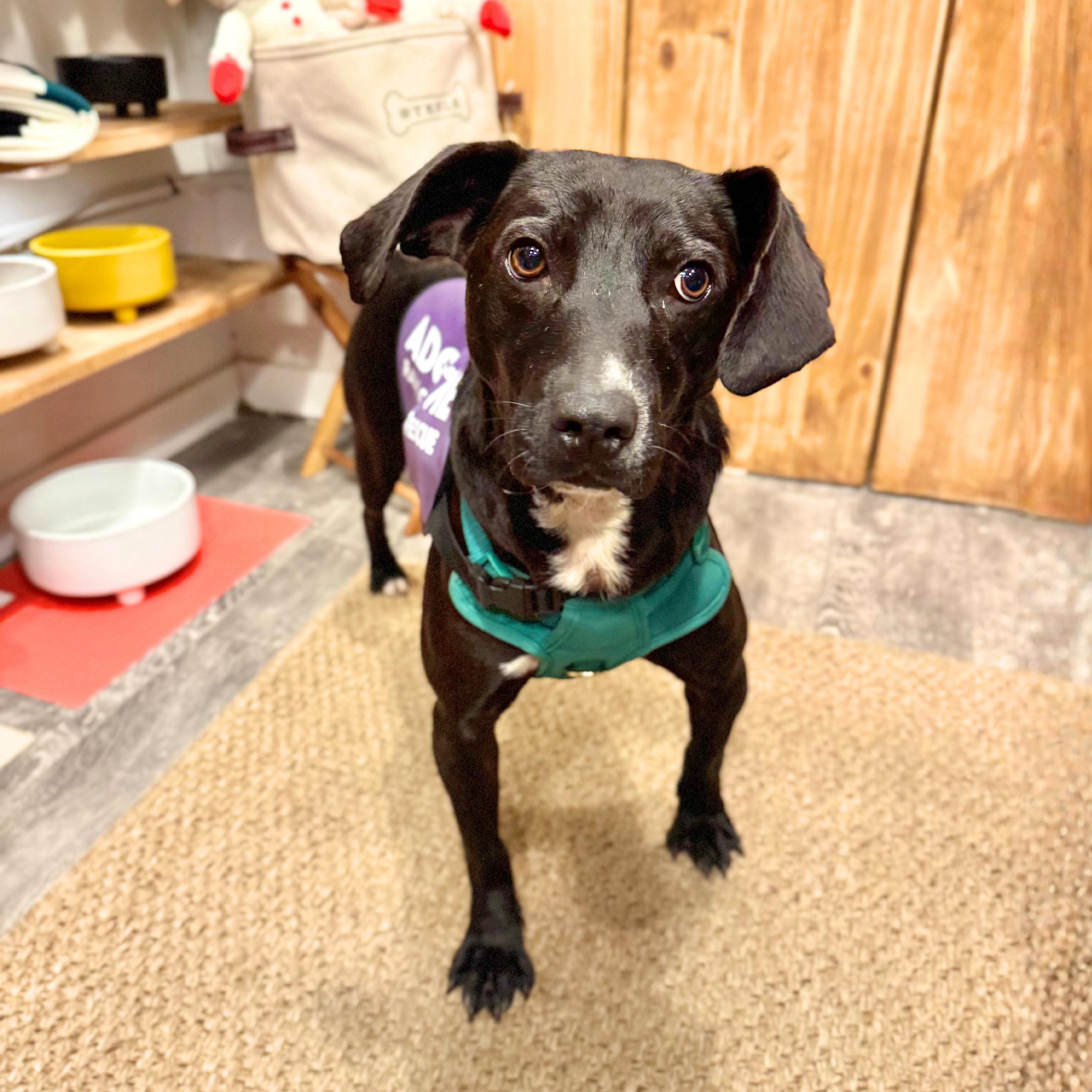 Dark Tower thumbnail 5