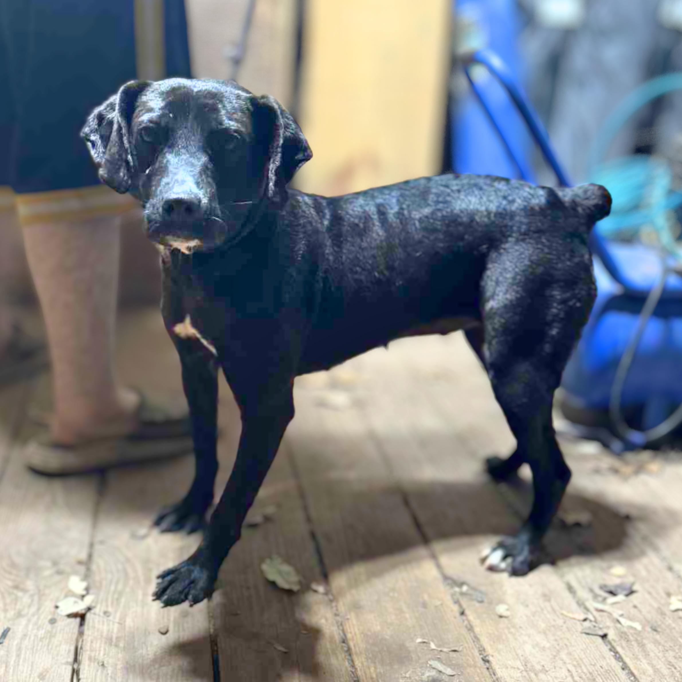 Dark Tower thumbnail 2