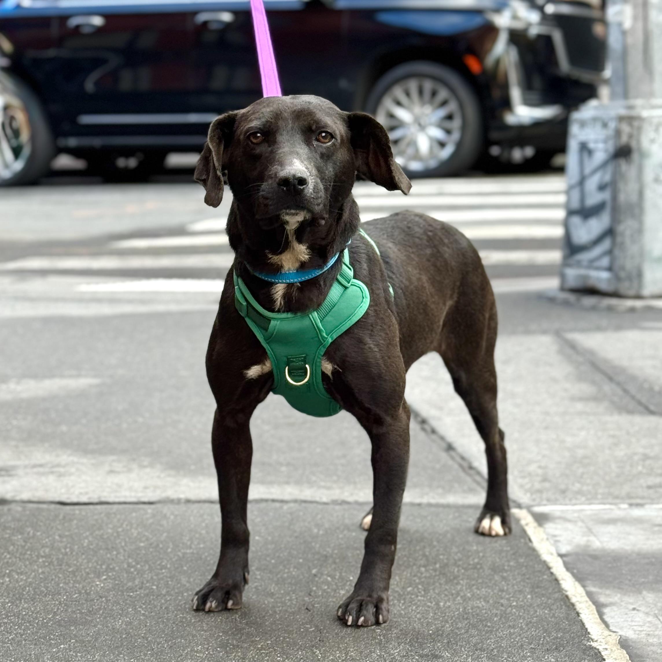 Dark Tower thumbnail 4