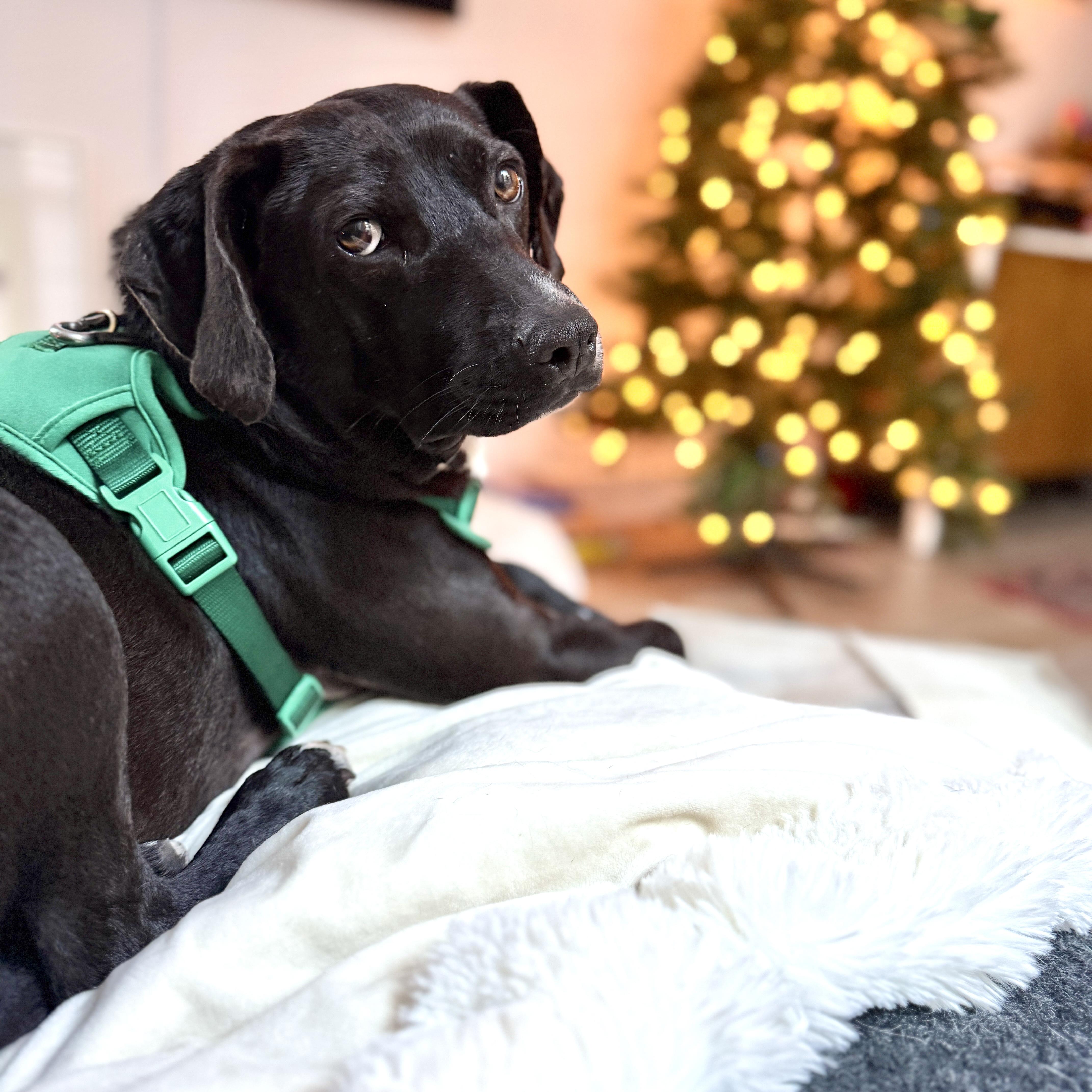 Dark Tower thumbnail 3