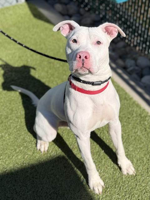 JACKSON — thumbnail 2