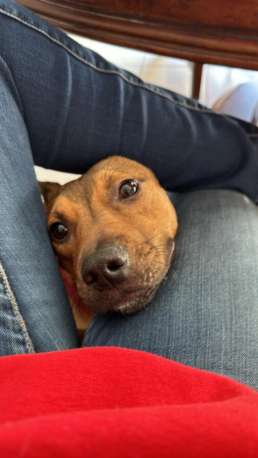 Repeat "pete" thumbnail 3