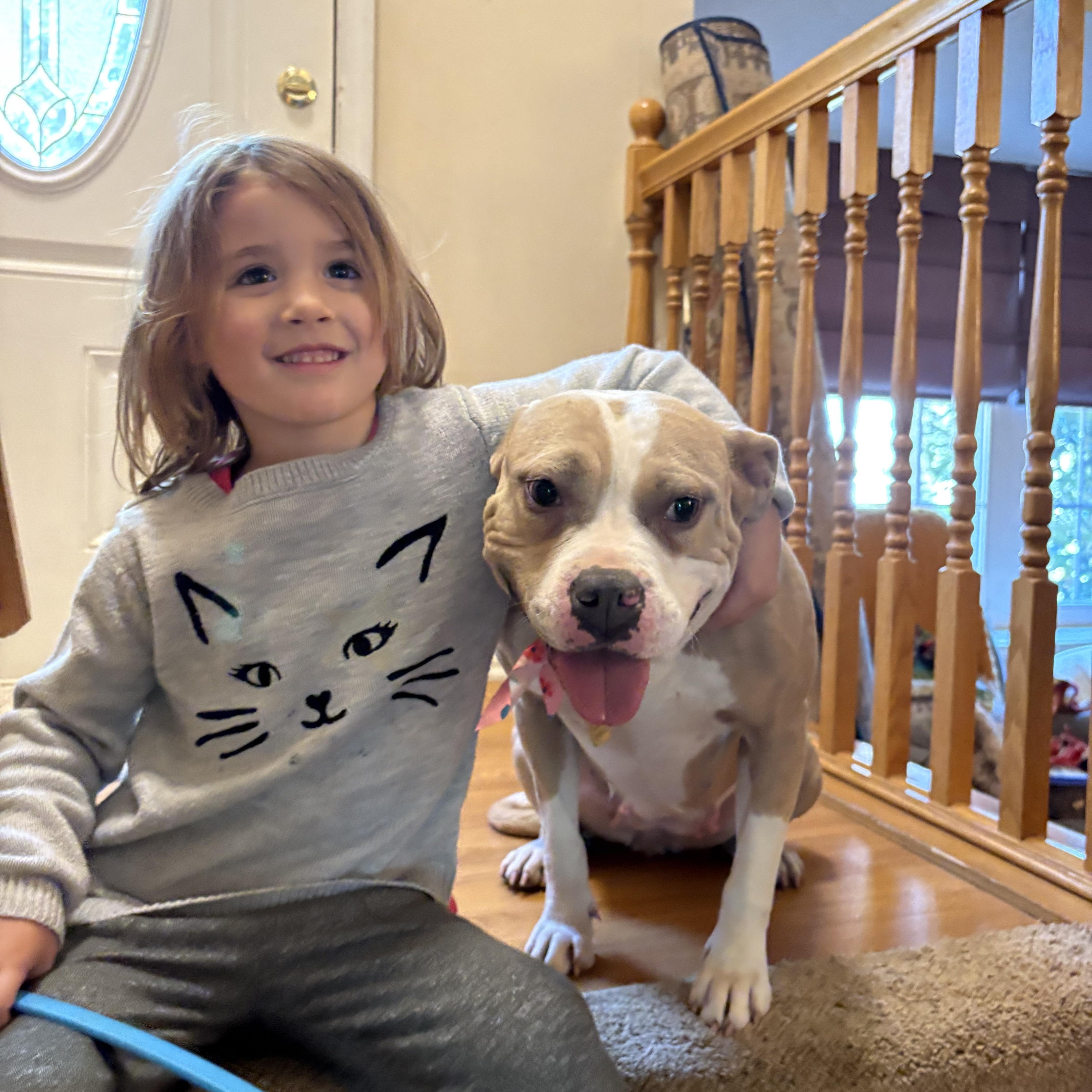 Pop Tart, a Adoptable mixed breed in Chesapeake Beach, MD image 5/6