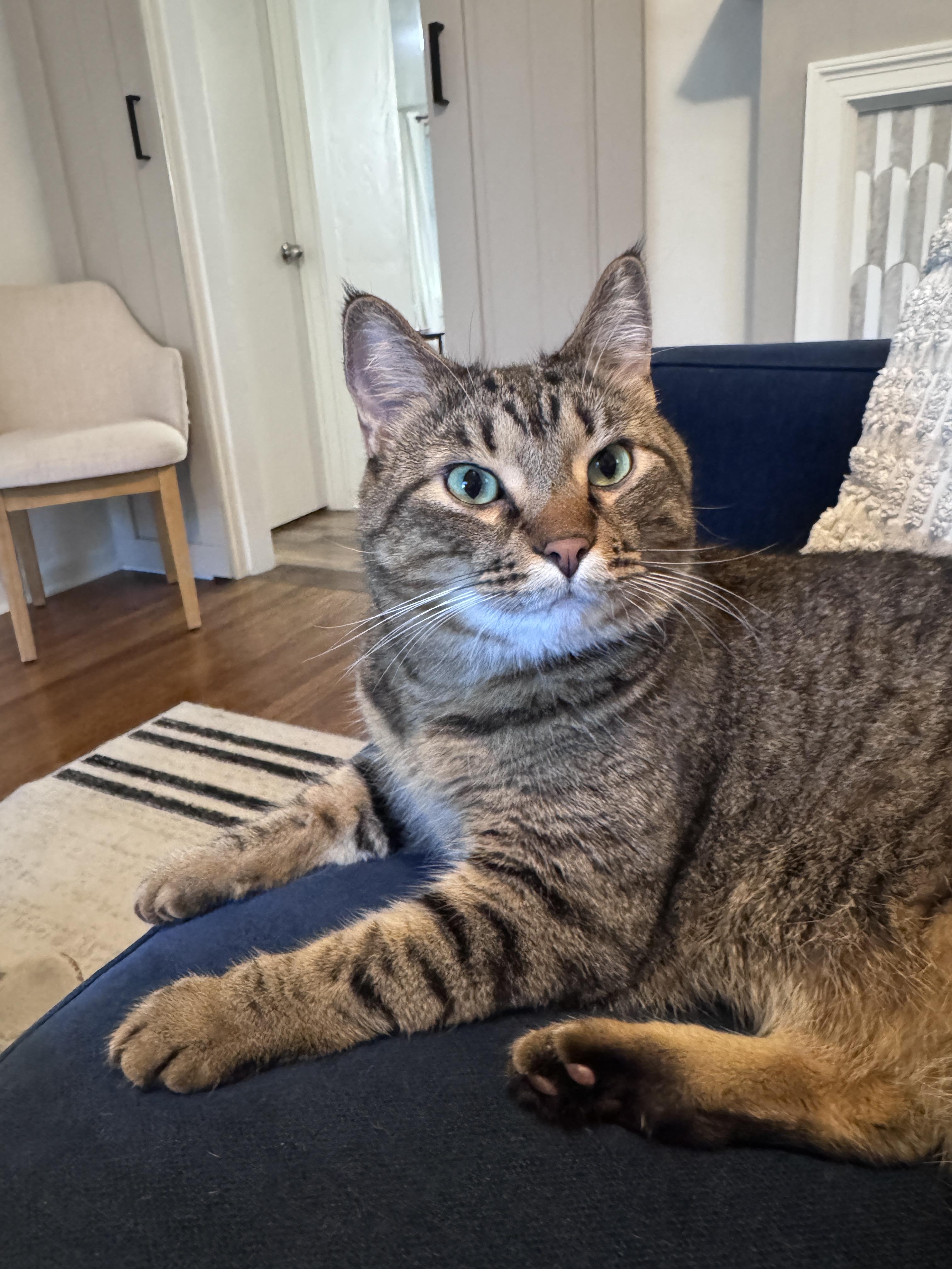 Franklin — thumbnail 4