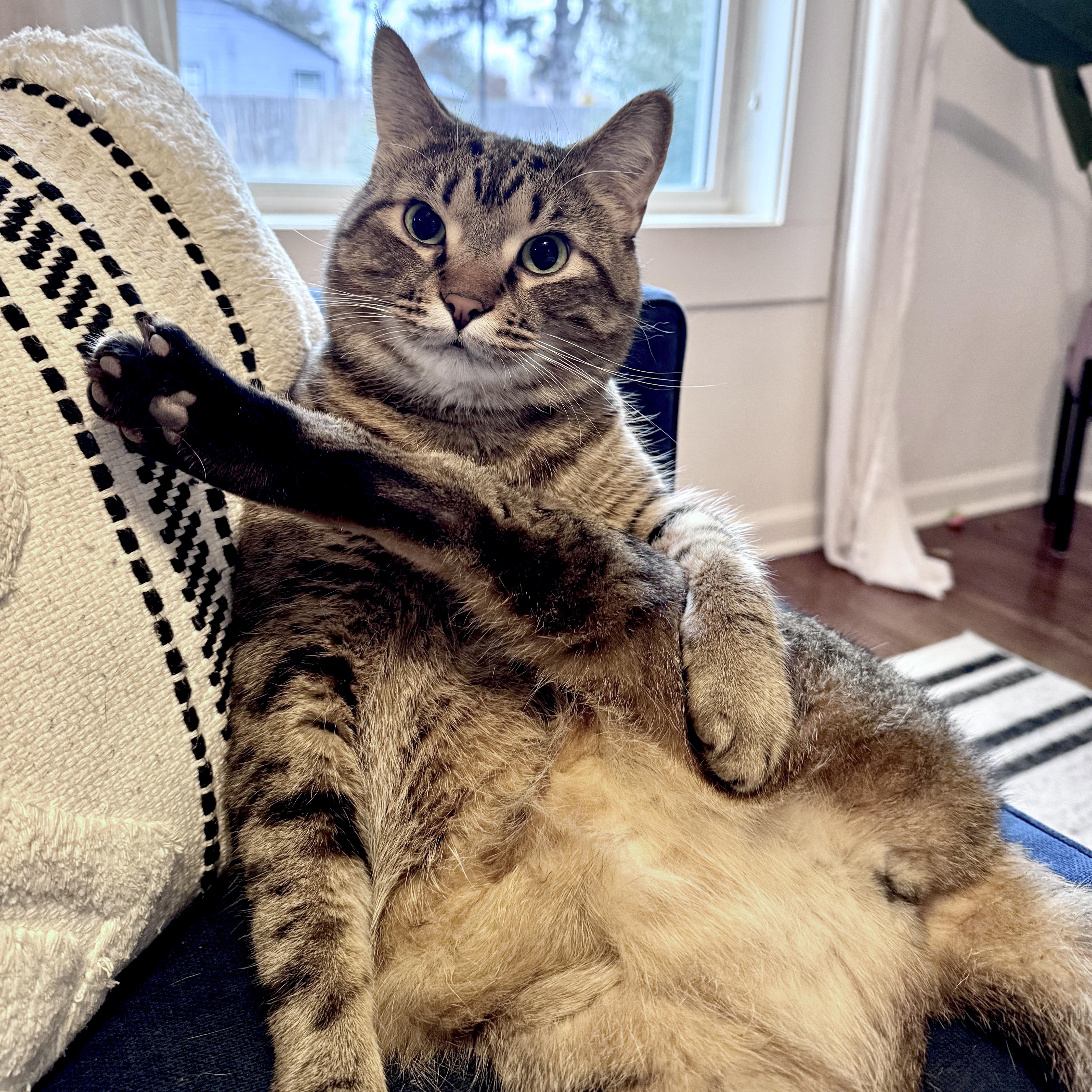 Franklin — thumbnail 6