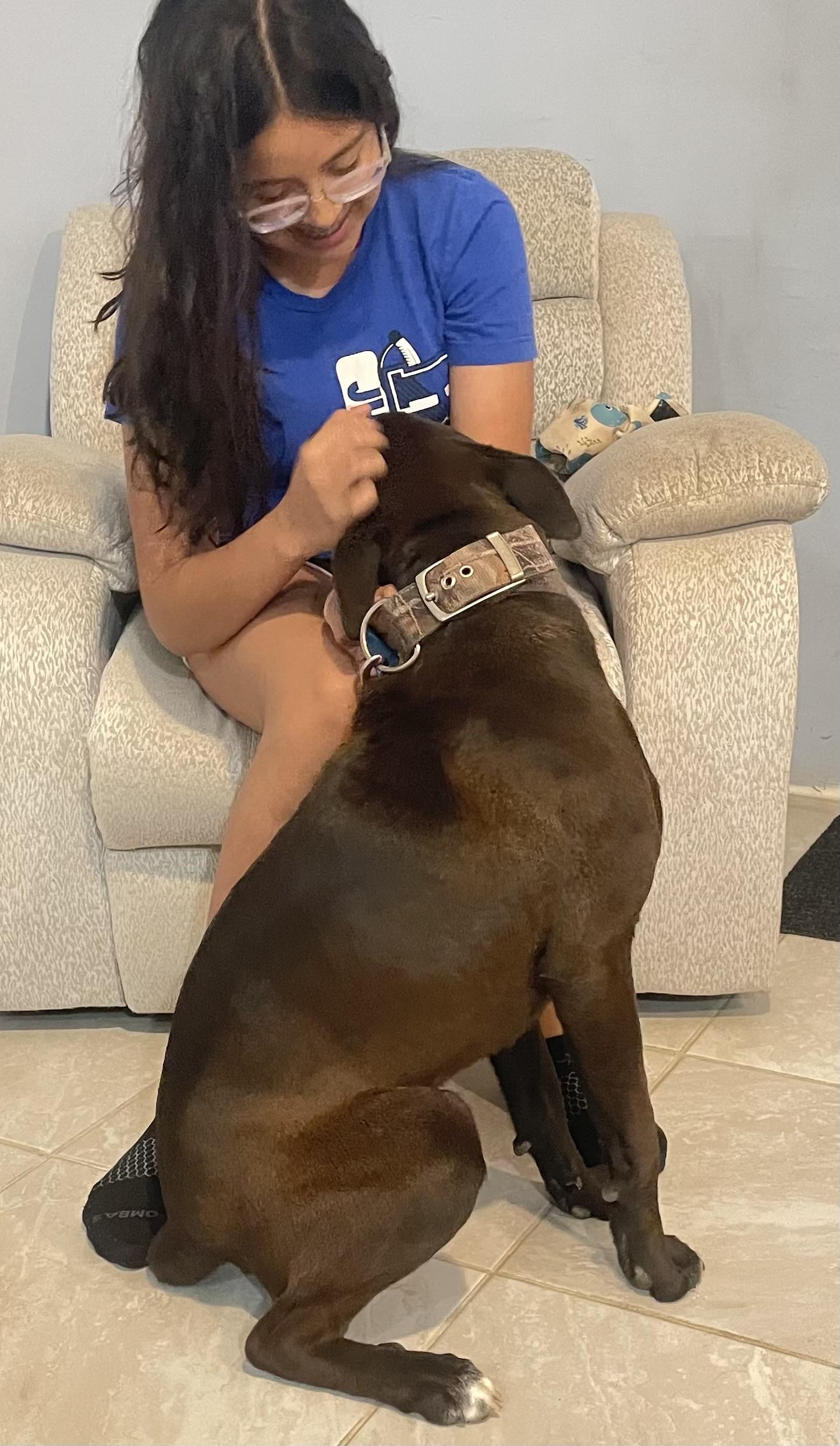 Enlarge REX 2  (Handsome, Loving, Good With All Ages, Loves Attention & Playtime), a Adoptable mixed breed in Newport, NH image 5/5