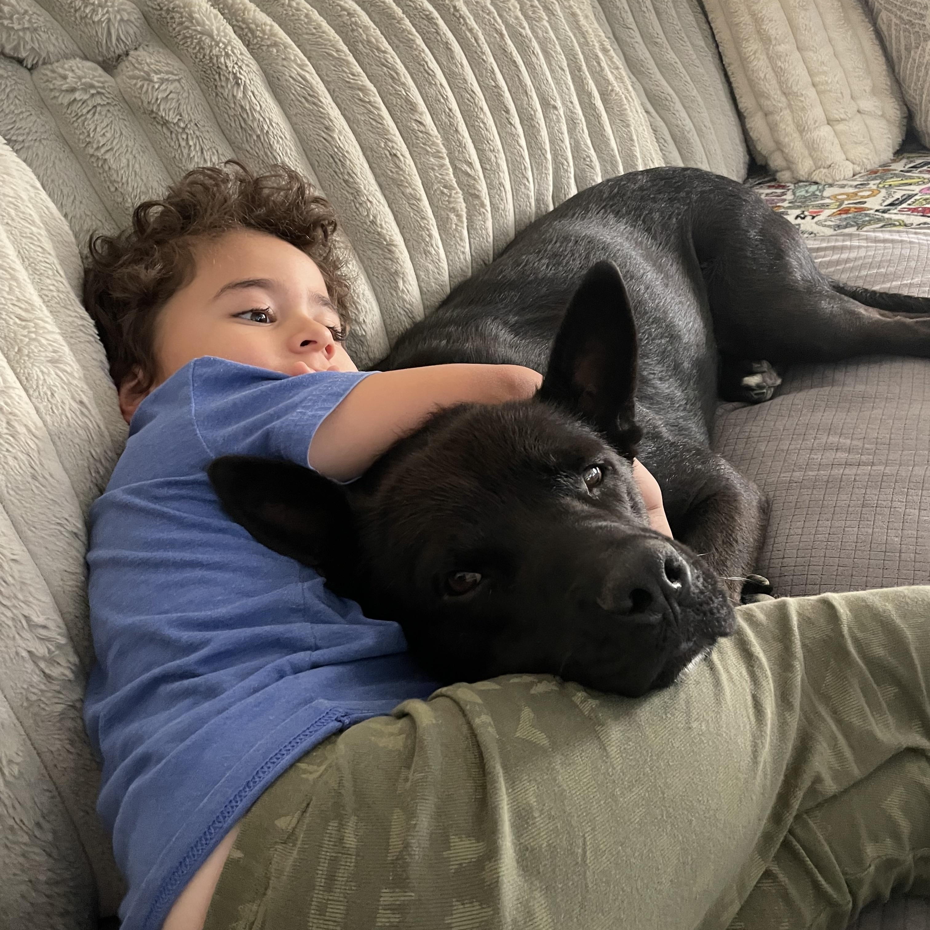 Rudy, a ADOPTABLE mixed breed in San Diego , CA image 2/6