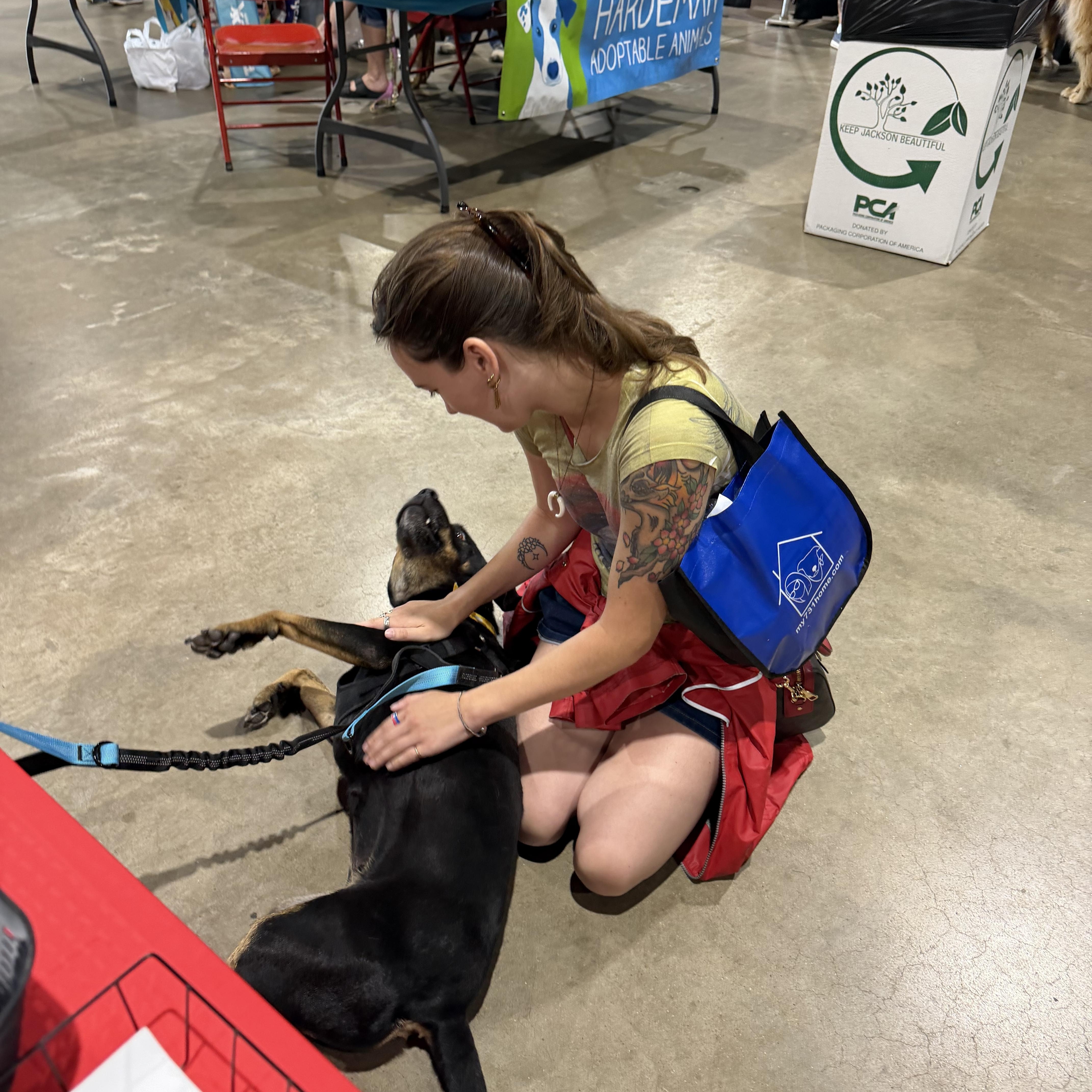 Enlarge Brinley, a ADOPTABLE mixed breed in Dyersburg, TN image 4/6
