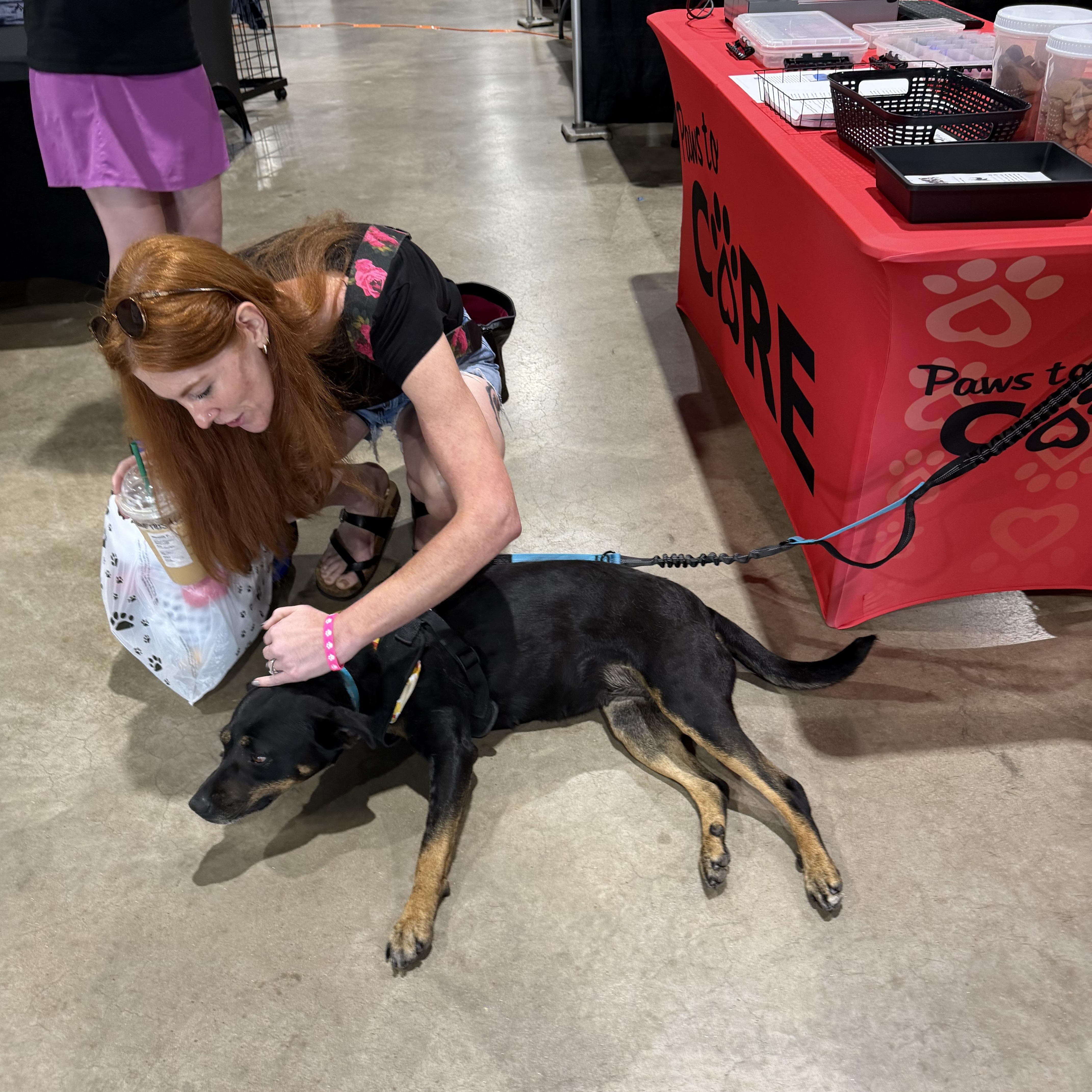 Enlarge Brinley, a ADOPTABLE mixed breed in Dyersburg, TN image 5/6