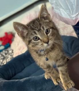 Sagar (Happy little man)