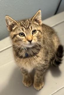 Sagar (Happy little man)