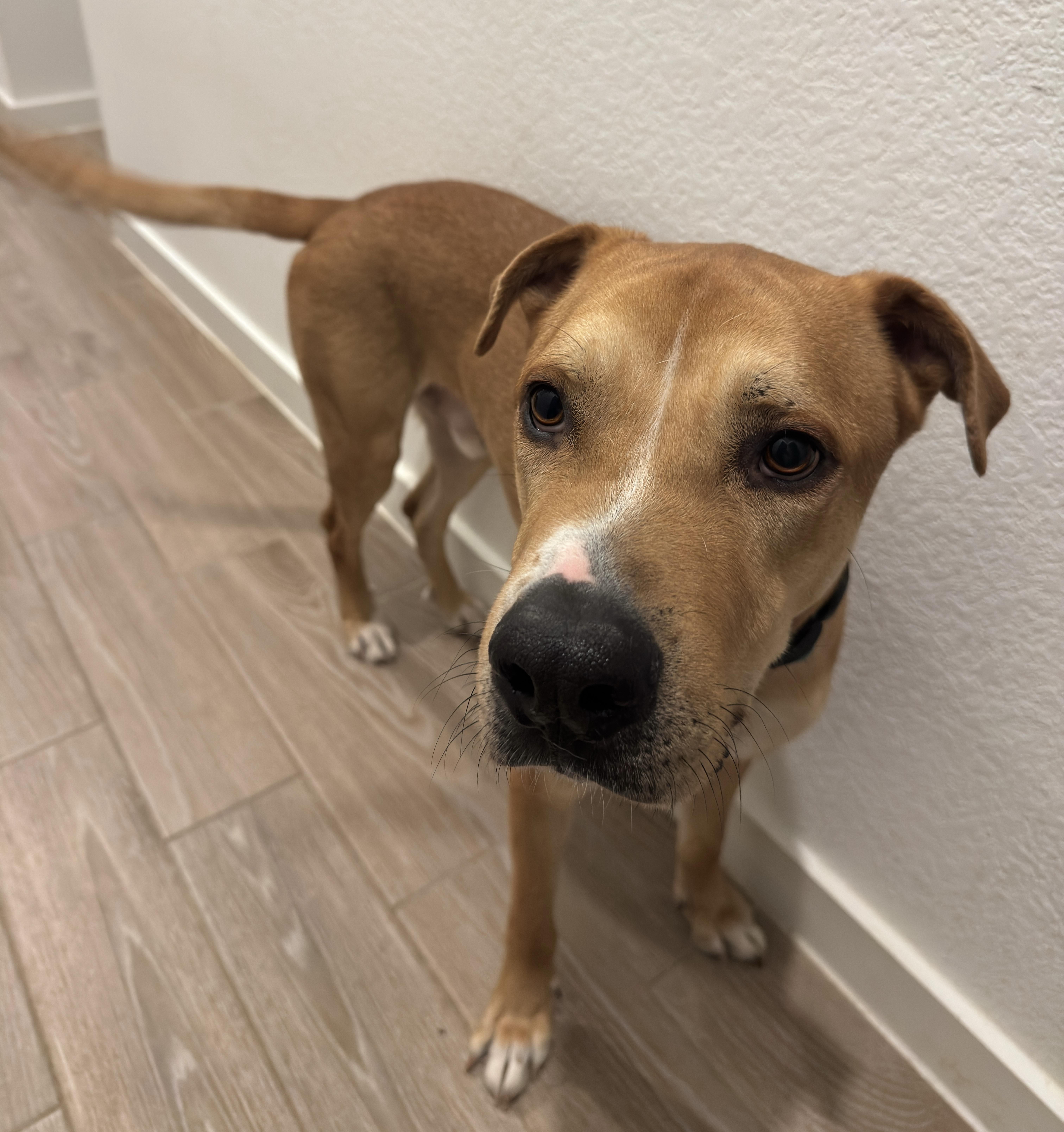 Butter — thumbnail 3