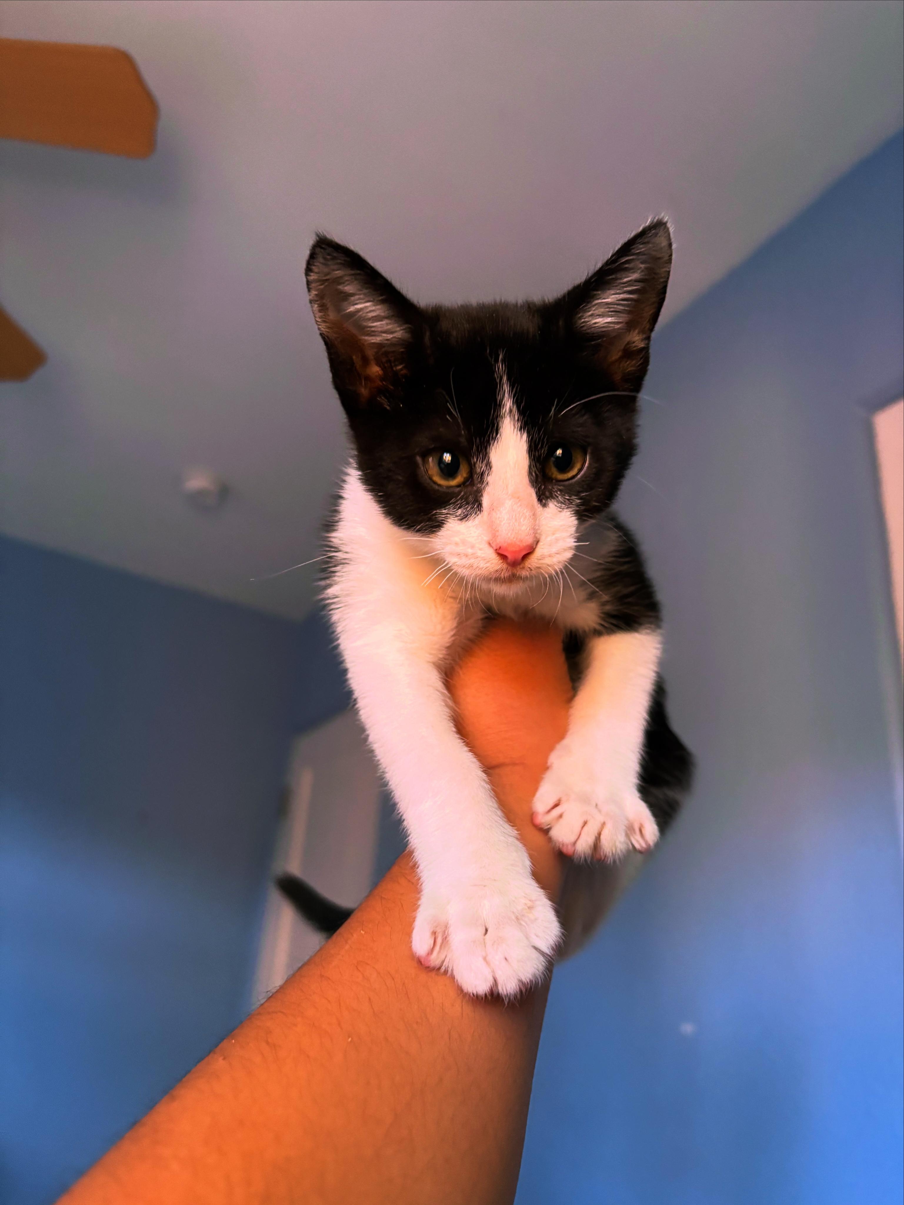 Lance Mathews photo 1